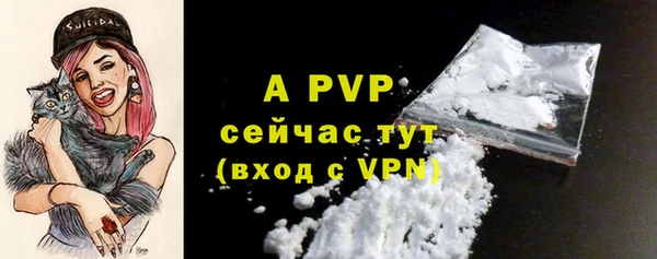 хмурый Осинники