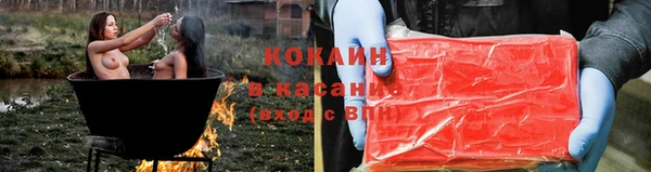 хмурый Осинники
