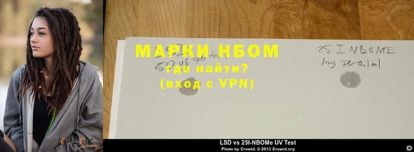 хмурый Осинники