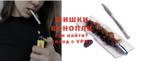 хмурый Осинники
