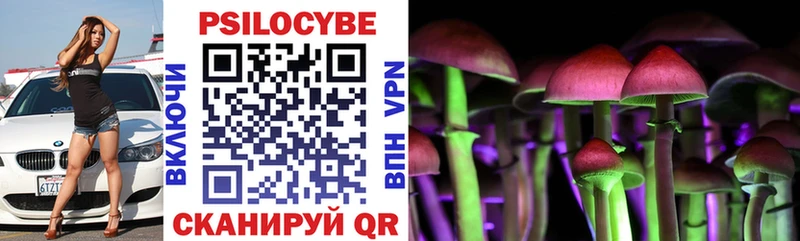 Псилоцибиновые грибы Cubensis  shop формула  Тайга 